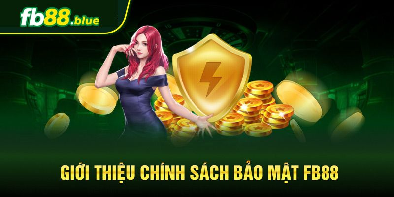 Giới thiệu về chính sách bảo mật thông tin tại Fb88