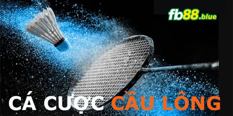 Các quy định cần biết khi cá cược cầu lông