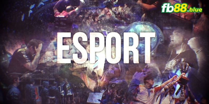 Hiểu cơ bản về cá cược Esports