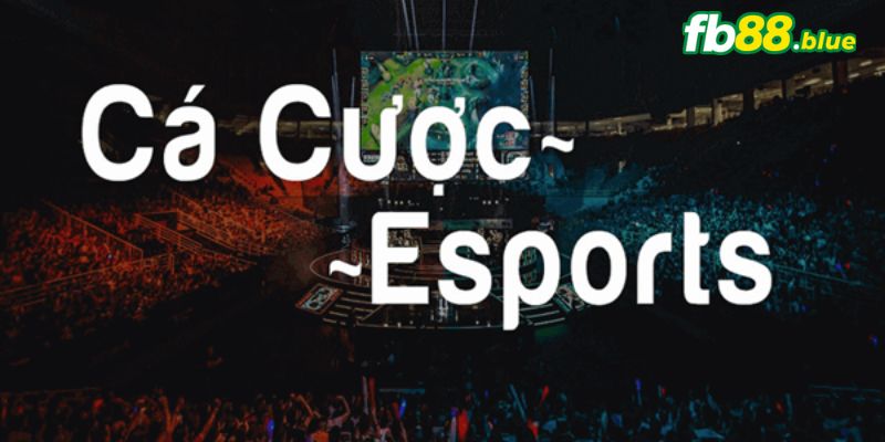 Các tựa game Esport tại Fb88 là gì?