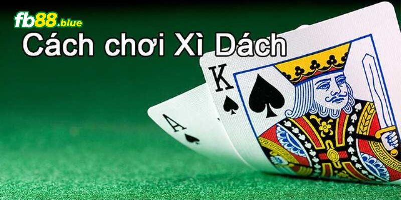 Hướng dẫn chơi xì dách đơn giản cho người mới