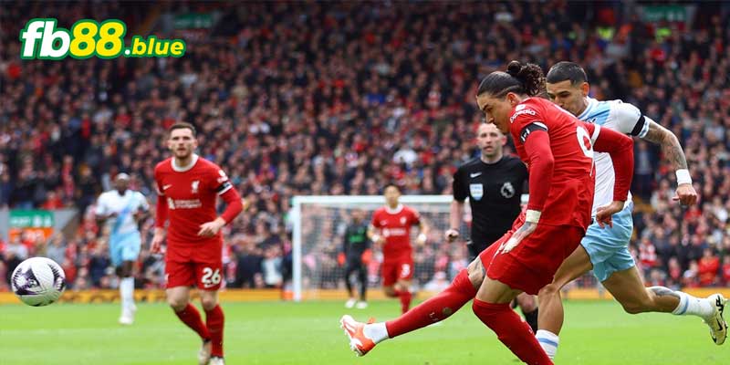 Soi Kèo Liverpool vs Crystal Palace Ngày 05/10/2024