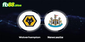 Soi kèo Wolves vs Newcastle Ngày 15/09/2024