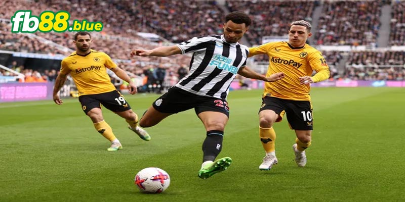 Soi kèo Wolves vs Newcastle Ngày 15/09/2024