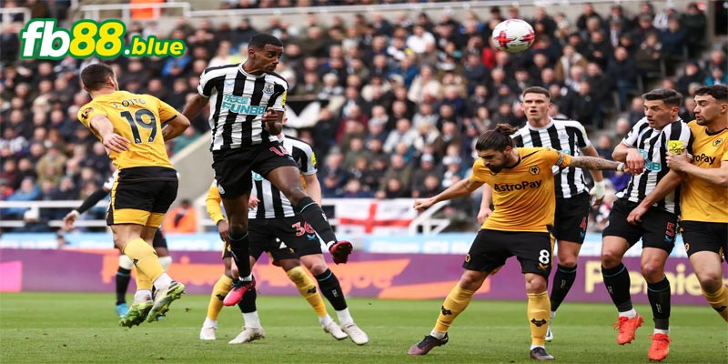 Soi kèo Wolves vs Newcastle Ngày 15/09/2024