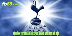 Đội Hình Tottenham Hotspur 2024: Những Ngôi Sao Nổi Bật