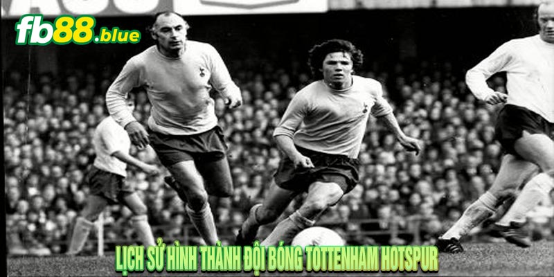 Đội Hình Tottenham Hotspur 2024: Những Ngôi Sao Nổi Bật