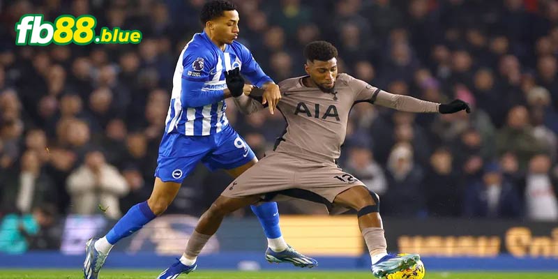 Soi kèo Brighton vs Tottenham Ngày 06/10/2024