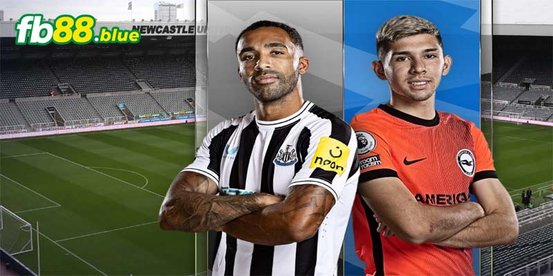 Soi Kèo Newcastle vs Brighton Ngày 19/10/2024