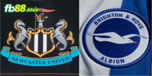 Soi Kèo Newcastle vs Brighton Ngày 19/10/2024