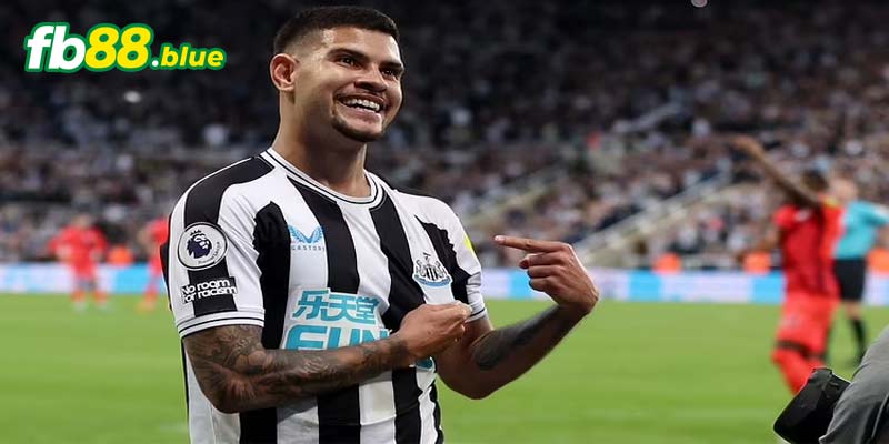 Soi Kèo Newcastle vs Brighton Ngày 19/10/2024