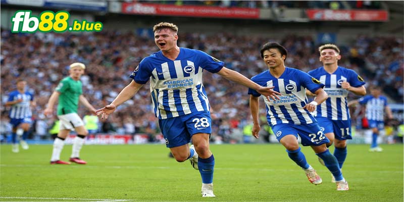 Soi Kèo Newcastle vs Brighton Ngày 19/10/2024