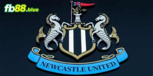 Đội Hình Newcastle 2024: Kỳ Vọng Vươn Tầm Đỉnh Cao