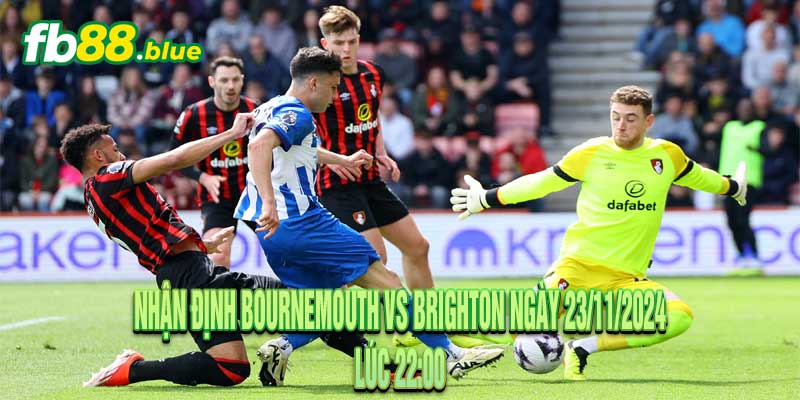 Nhận định Bournemouth vs Brighton Ngày 23/11/2024