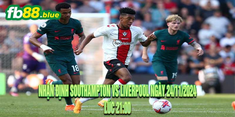 Nhận định Southampton vs Liverpool Ngày 24/11/2024