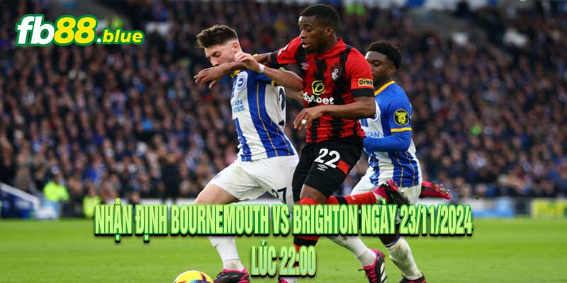 Nhận định Bournemouth vs Brighton Ngày 23/11/2024