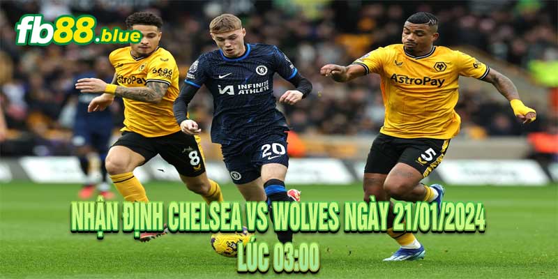 Nhận định Chelsea vs Wolves Ngày 21/01/2024