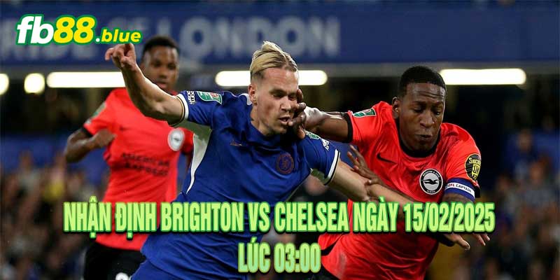 Nhận định Brighton vs Chelsea Ngày 15/02/2025