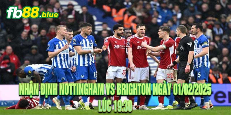 Nhận Định Nottingham vs Brighton Ngày 01/02/2025