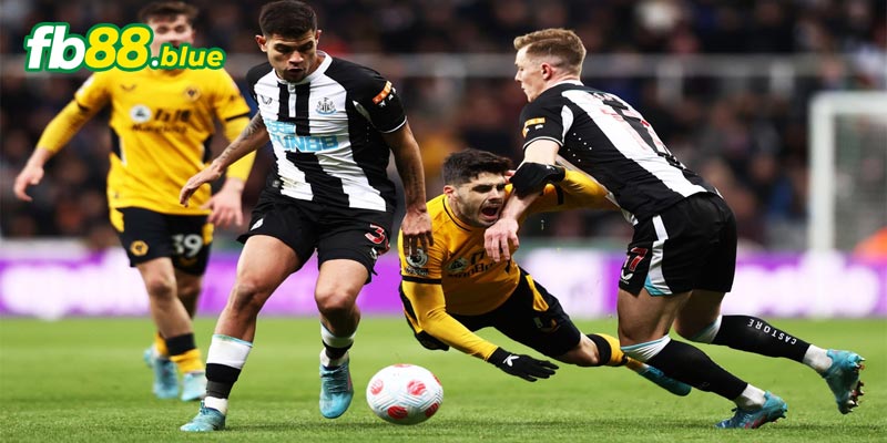 Nhận Định Newcastle vs Wolves Ngày 16/01/2025