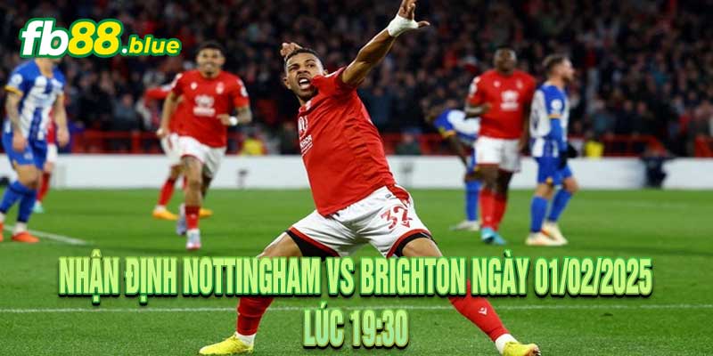 Nhận Định Nottingham vs Brighton Ngày 01/02/2025