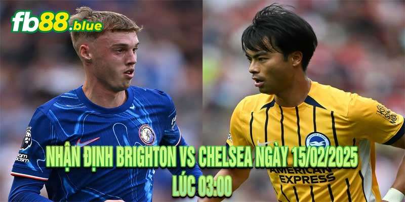 Nhận định Brighton vs Chelsea Ngày 15/02/2025