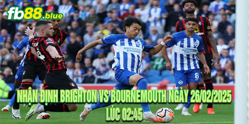 Nhận định Brighton vs Bournemouth Ngày 26/02/2025