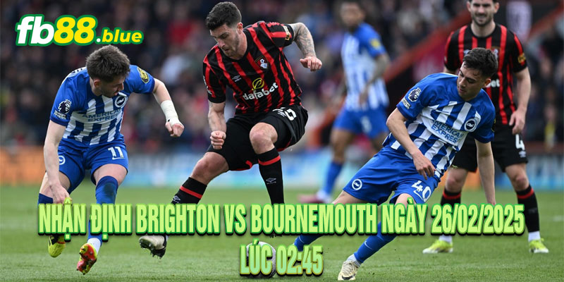 Nhận định Brighton vs Bournemouth Ngày 26/02/2025